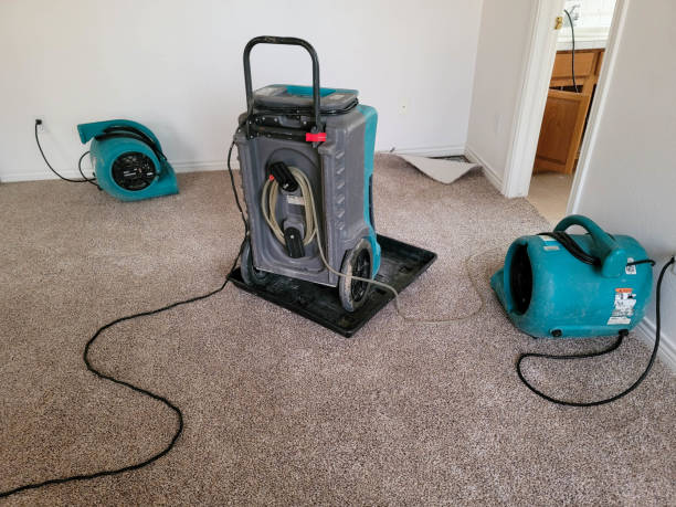  Kilmarnock, VA Water damage restoration Pros
