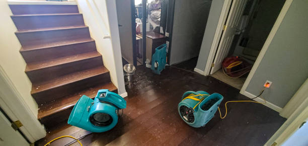 Professional Water damage restoration in VA