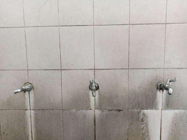 Best Flood restoration services  in Kilmarnock, VA