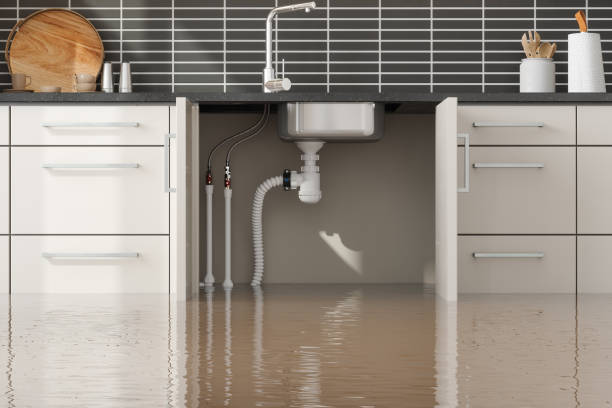 Best Sewage cleanup and water damage restoration  in Kilmarnock, VA