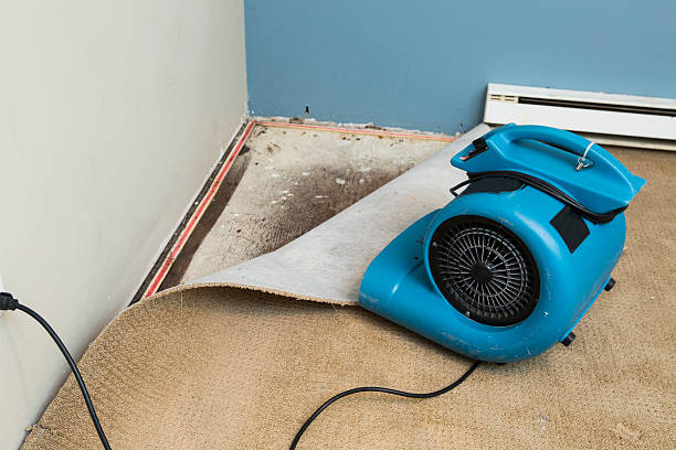 Best Ceiling water damage repair  in Kilmarnock, VA
